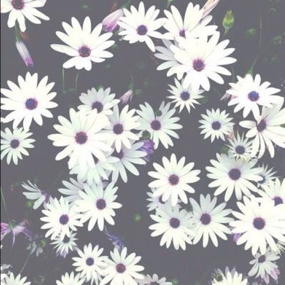 Meet the Posher Other - Meet your Posher, Karlie